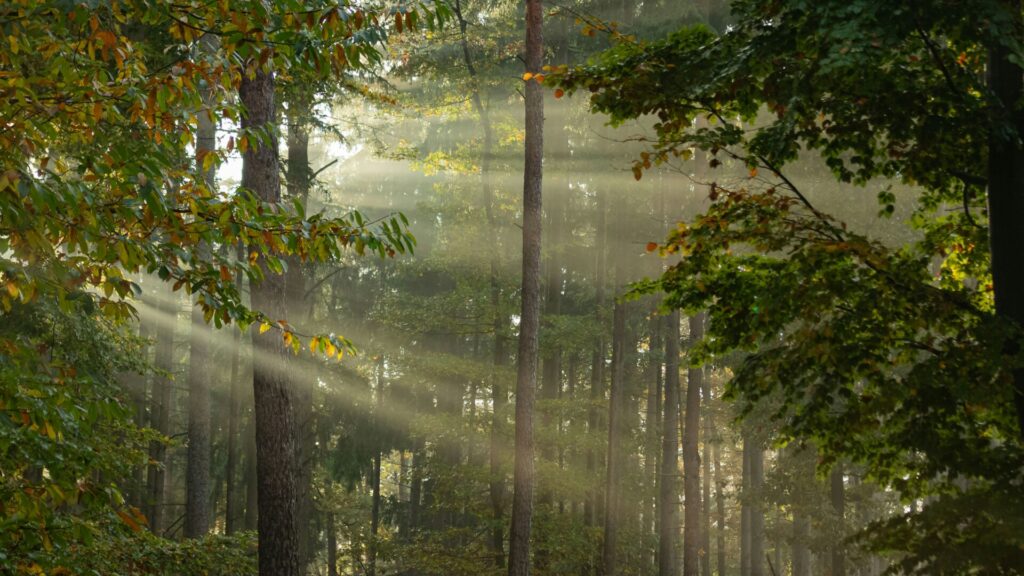 cisza i natura – spokojne miejsce na wypoczynek